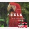 Calvin Harris - Feels